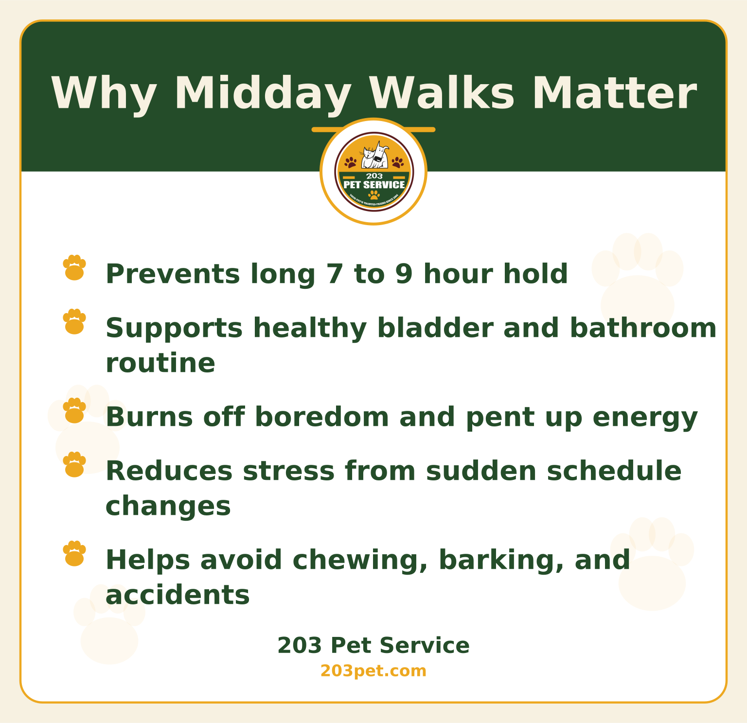 Why Midday Walks Matter