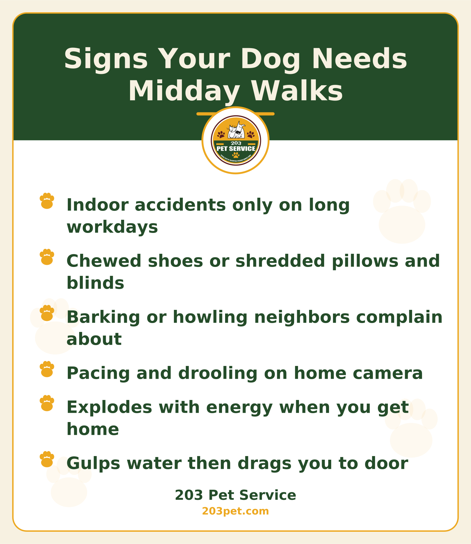 Signs Your Dog Needs Midday Walks