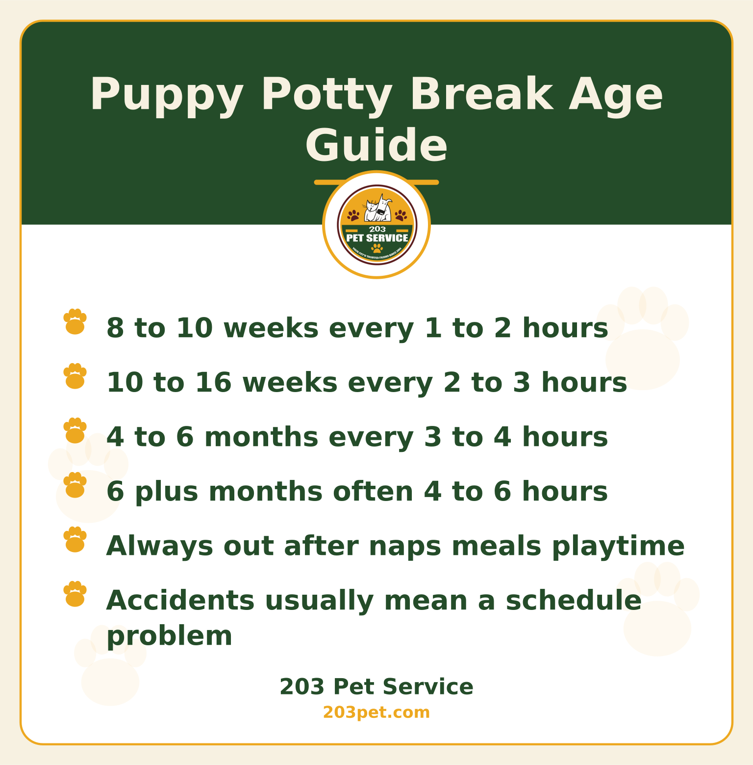 Puppy Potty Break Age Guide