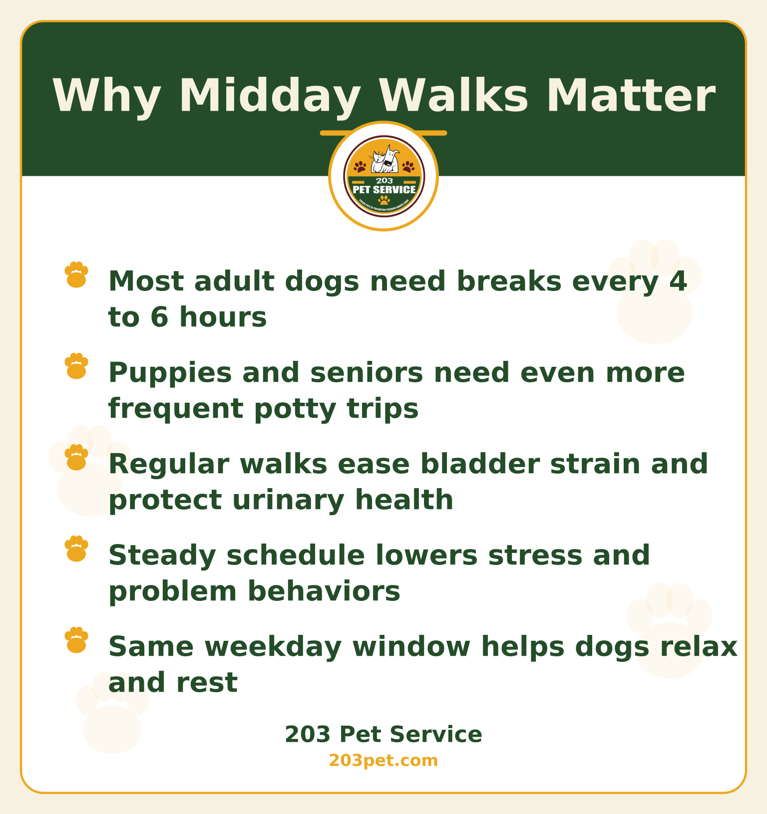 Why Midday Walks Matter